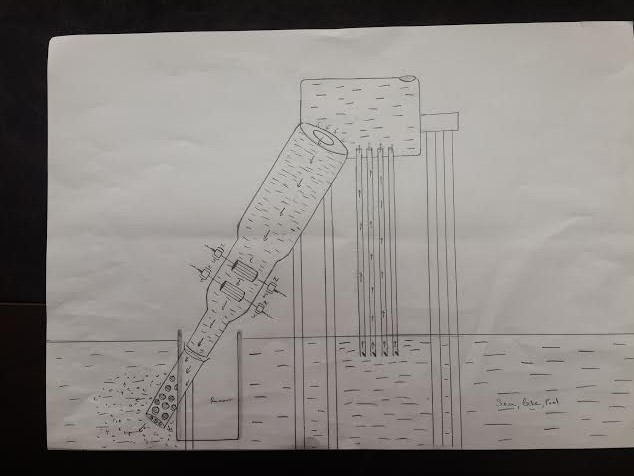 proje